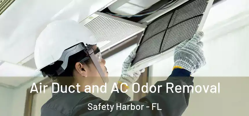 Air Duct and AC Odor Removal Safety Harbor - FL