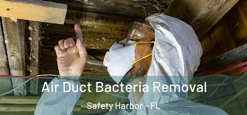  Air Duct Bacteria Removal Safety Harbor - FL