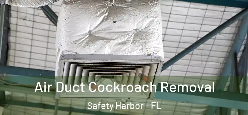  Air Duct Cockroach Removal Safety Harbor - FL