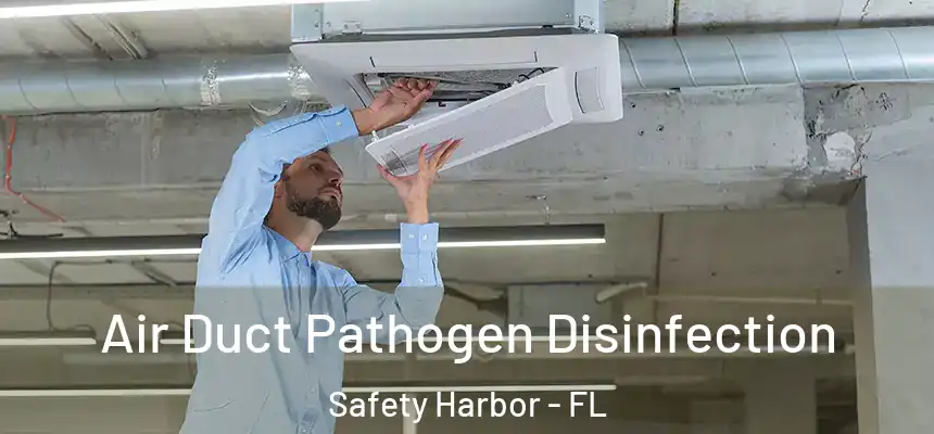  Air Duct Pathogen Disinfection Safety Harbor - FL