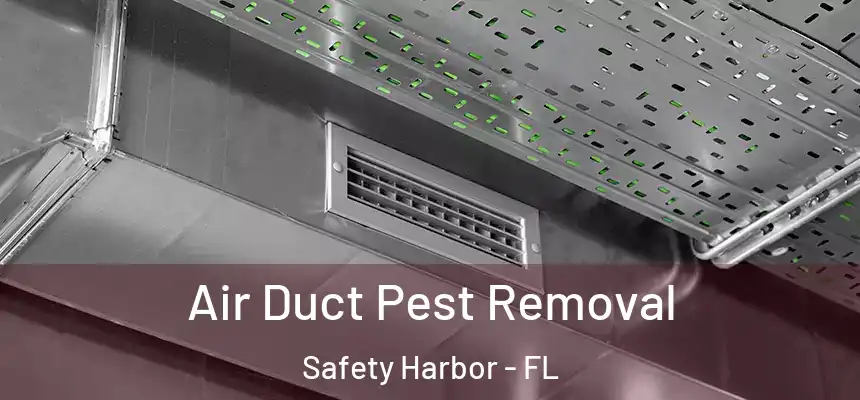  Air Duct Pest Removal Safety Harbor - FL