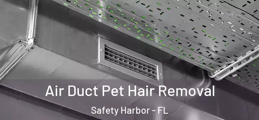  Air Duct Pet Hair Removal Safety Harbor - FL
