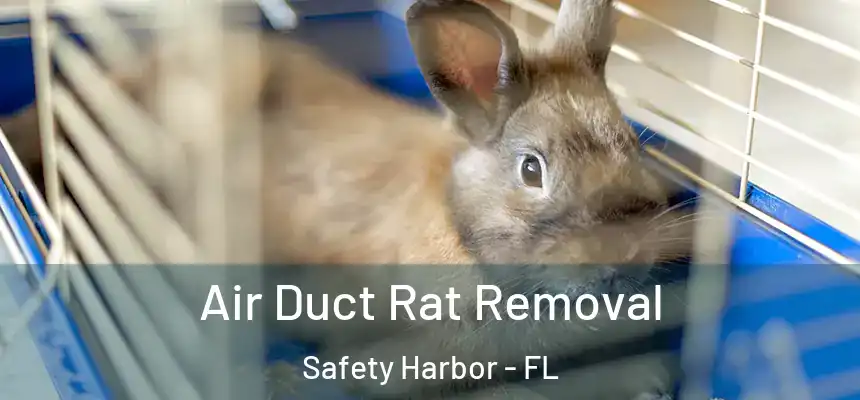  Air Duct Rat Removal Safety Harbor - FL