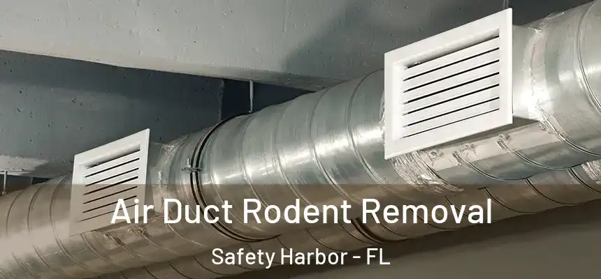  Air Duct Rodent Removal Safety Harbor - FL