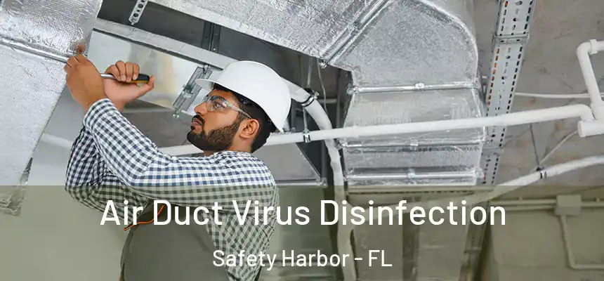  Air Duct Virus Disinfection Safety Harbor - FL