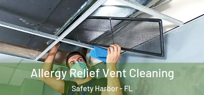 Allergy Relief Vent Cleaning Safety Harbor - FL