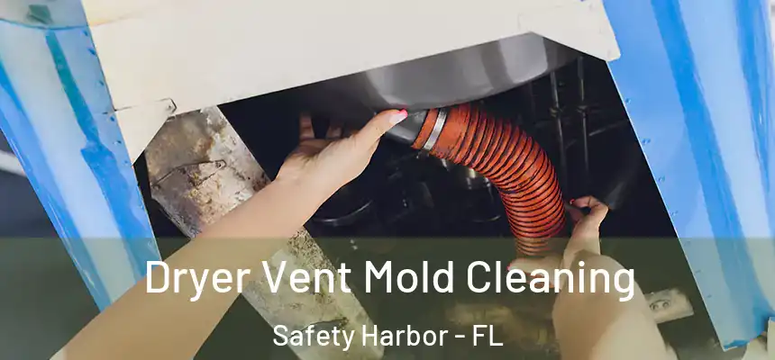  Dryer Vent Mold Cleaning Safety Harbor - FL