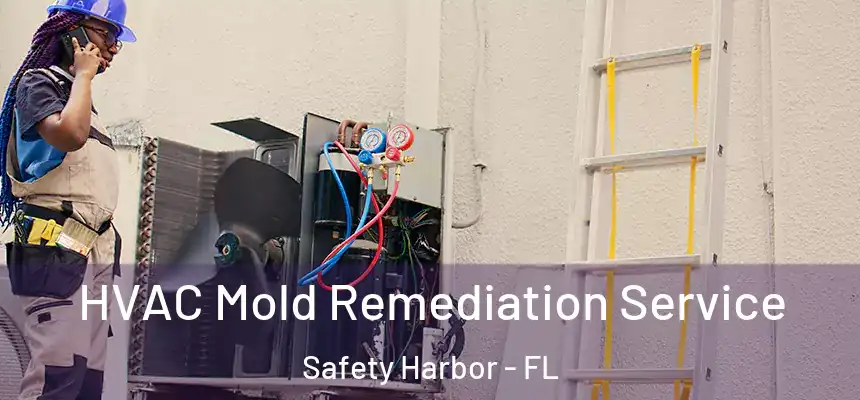  HVAC Mold Remediation Service Safety Harbor - FL