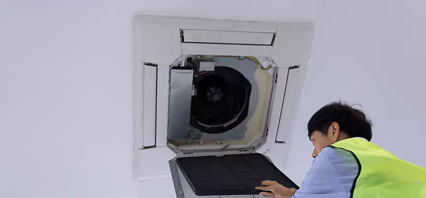 Our Dryer Vent Sanitization Service Services in Safety Harbor, FL
