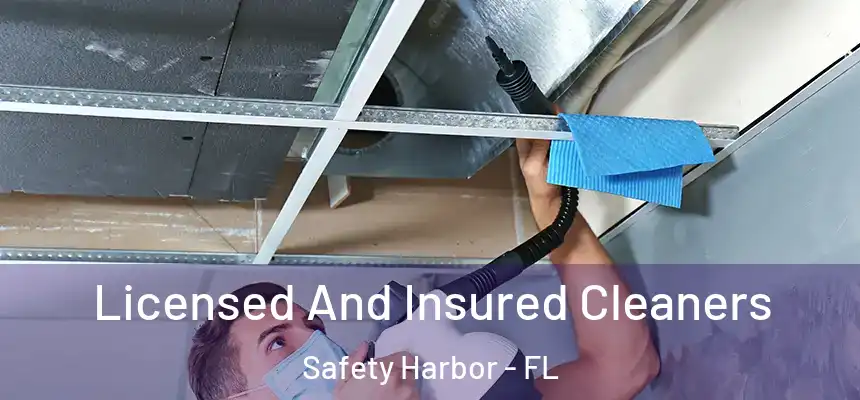 Licensed And Insured Cleaners Safety Harbor - FL