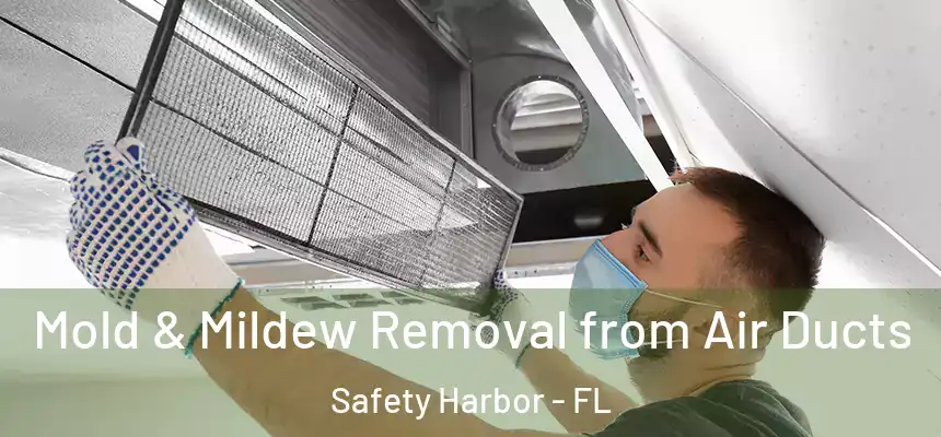  Mold & Mildew Removal from Air Ducts Safety Harbor - FL