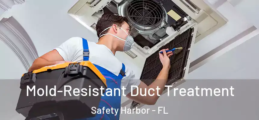  Mold-Resistant Duct Treatment Safety Harbor - FL