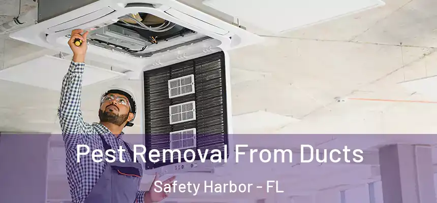 Pest Removal From Ducts Safety Harbor - FL