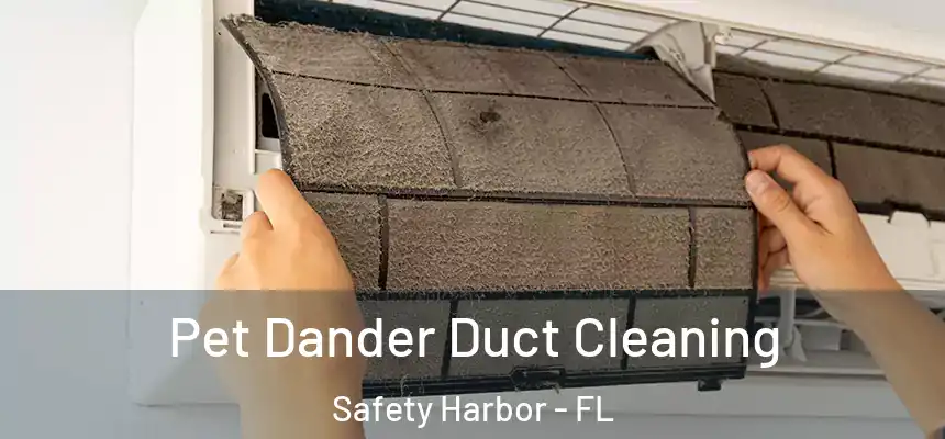  Pet Dander Duct Cleaning Safety Harbor - FL