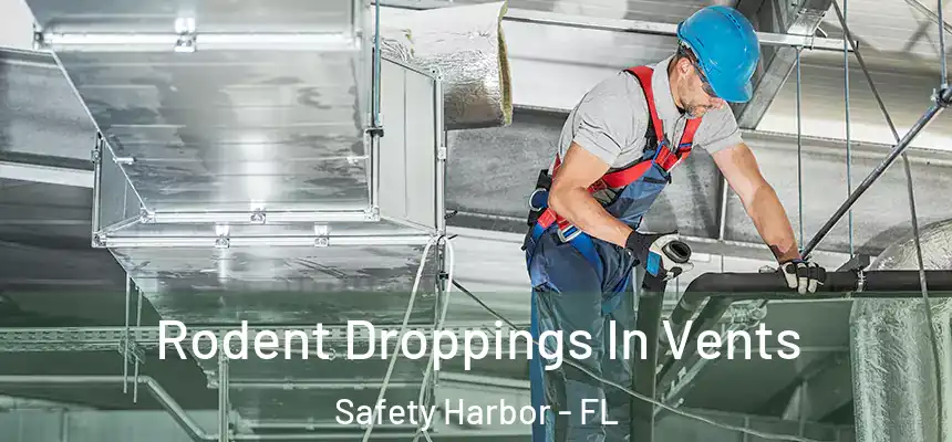Rodent Droppings In Vents Safety Harbor - FL