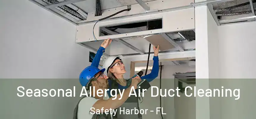  Seasonal Allergy Air Duct Cleaning Safety Harbor - FL