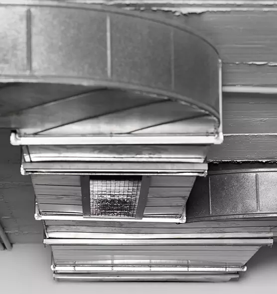 Professional Air Duct Pet Hair Removal in Safety Harbor, FL