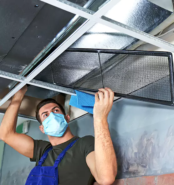 Professional Air Duct Pollen Cleaning in Safety Harbor, FL