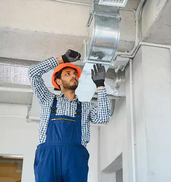 Affordable Lint Buildup Removal in Safety Harbor, FL
