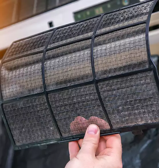 About Pet Dander Duct Cleaning in Safety Harbor, FL